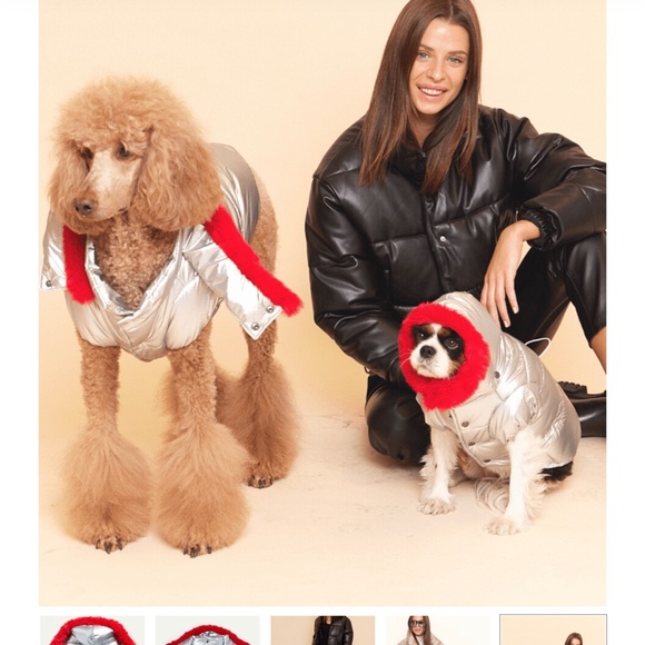 Maxbone dog Alpine Silver  puffer - Picture 2 of 6